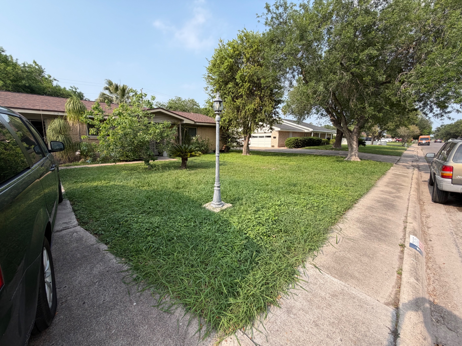Before - Overgrown lawn reset